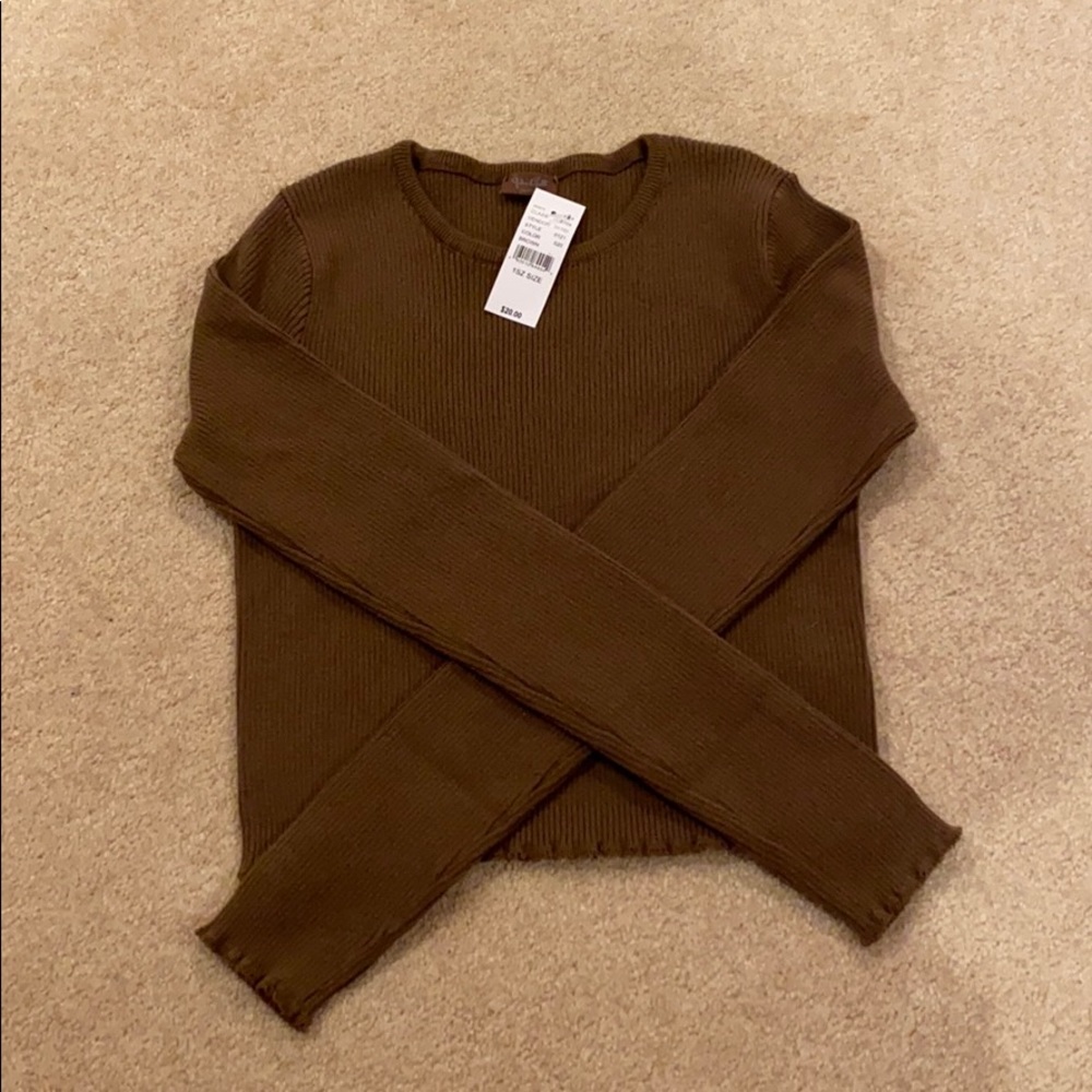 brown brandy melville sweater
